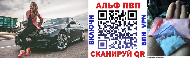 APVP СК  Ярославль 
