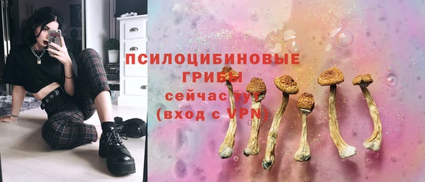 марки lsd Абаза