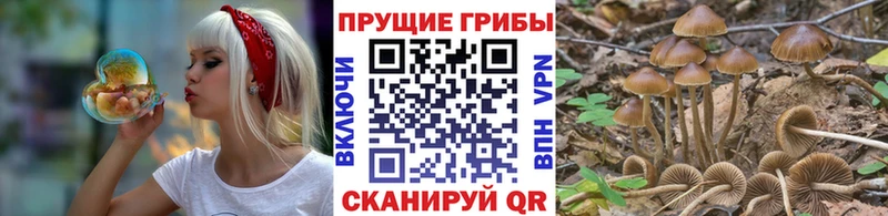 Псилоцибиновые грибы ЛСД  Ярославль 