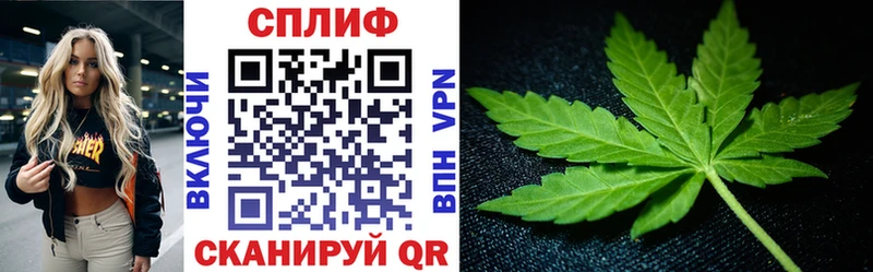 кракен маркетплейс Ярославль Бошки марихуана SATIVA & INDICA что такое наркотик